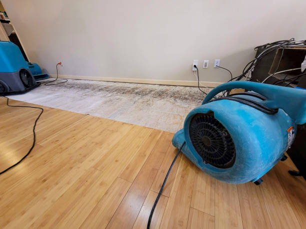 Professional Basement Flood Cleanup technician working in Chesterfield, NJ